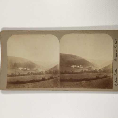 View estereo cardboard