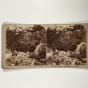 View estereo cardboard