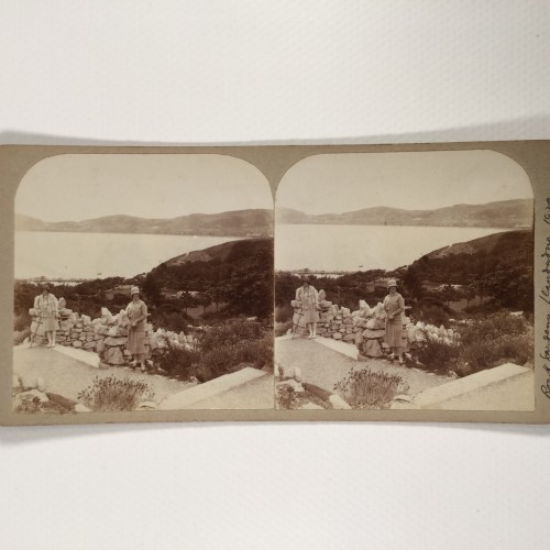 View estereo cardboard