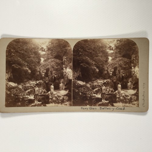 View estereo cardboard