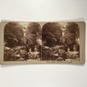 View estereo cardboard