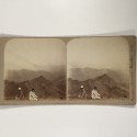 View estereo cardboard