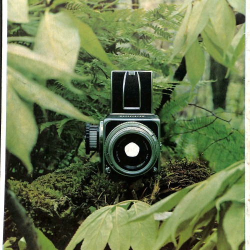 Revista Hasselblad