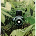 Revista Hasselblad