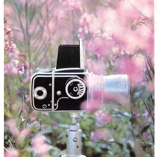 Revista Hasselblad Magazine