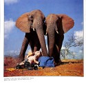 Revista Hasselblad: 50 aniversario