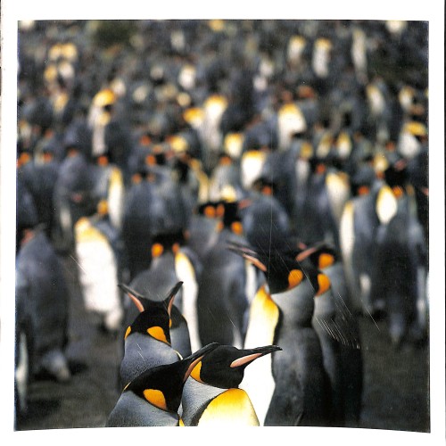 Revista Hasselblad