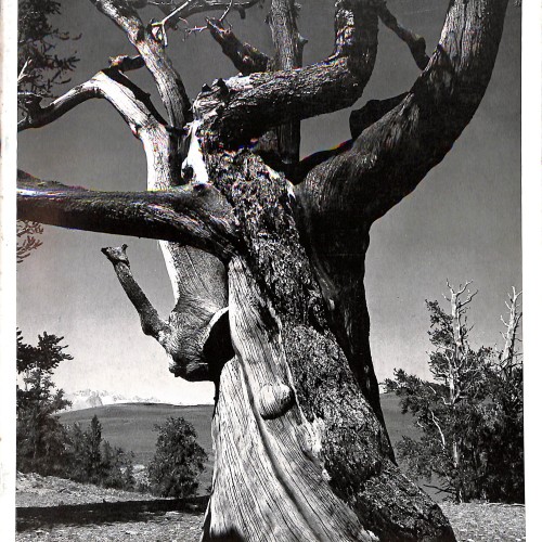 Revista Hasselblad