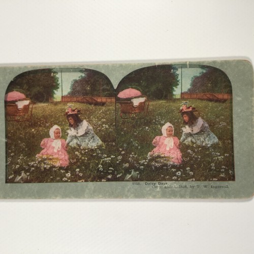 View estereo cardboard