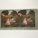 View estereo cardboard