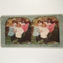 View estereo cardboard