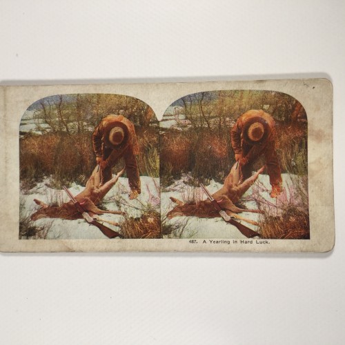 View estereo cardboard