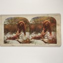 View estereo cardboard
