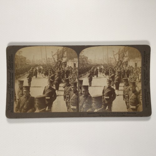 View estereo cardboard