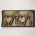 View estereo cardboard