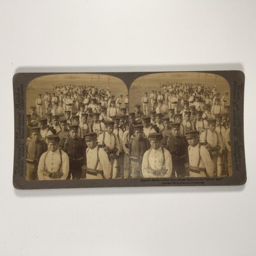 View estereo cardboard