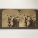 View estereo cardboard