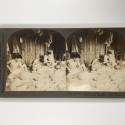 View estereo cardboard