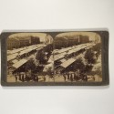 View estereo cardboard