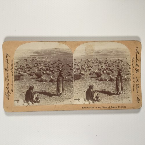 View estereo cardboard