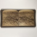 View estereo cardboard