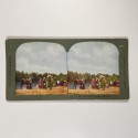 View estereo cardboard