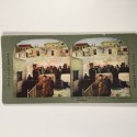 View estereo cardboard