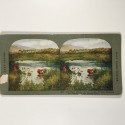 View estereo cardboard