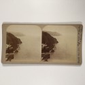 View estereo cardboard