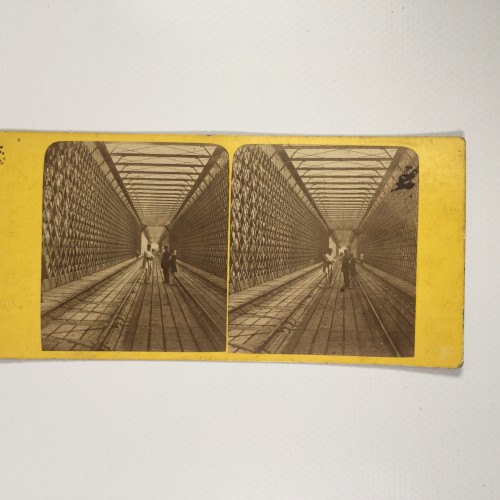 View estereo cardboard