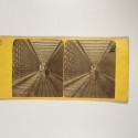 View estereo cardboard
