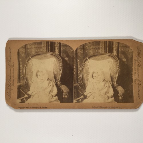 View estereo cardboard