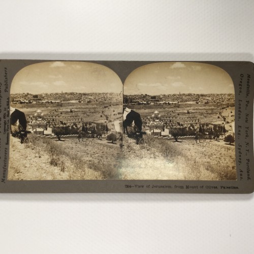 View estereo cardboard