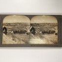 View estereo cardboard