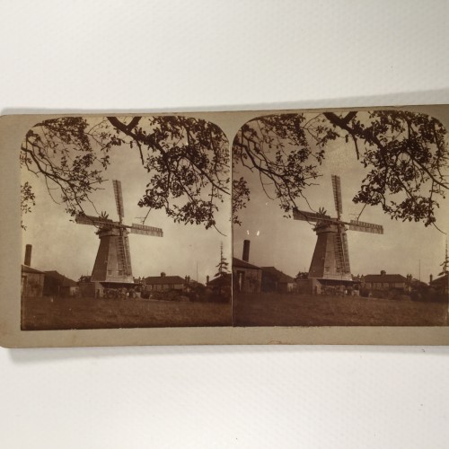 View estereo cardboard