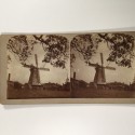 View estereo cardboard