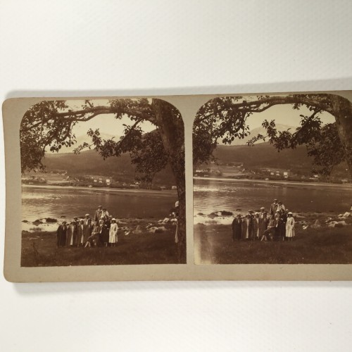 View estereo cardboard
