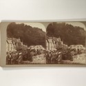 View estereo cardboard