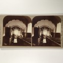 View estereo cardboard