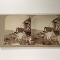 View estereo cardboard