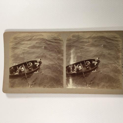 View estereo cardboard