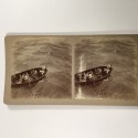 View estereo cardboard