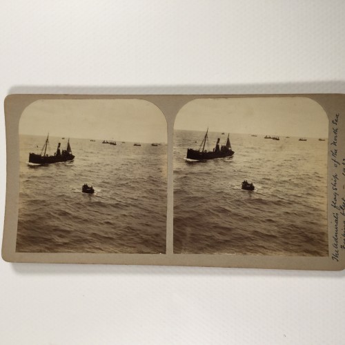 View estereo cardboard