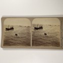 View estereo cardboard