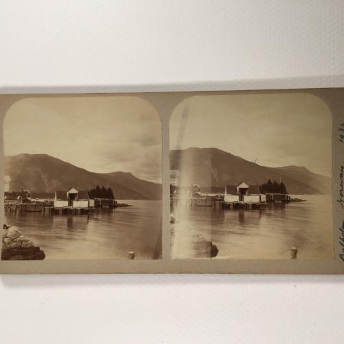 View estereo cardboard