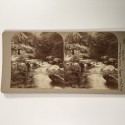 View estereo cardboard