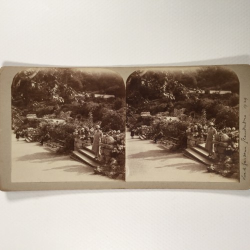 View estereo cardboard