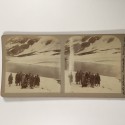 View estereo cardboard