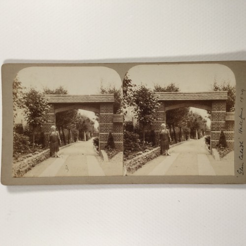 View estereo cardboard