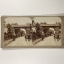 View estereo cardboard